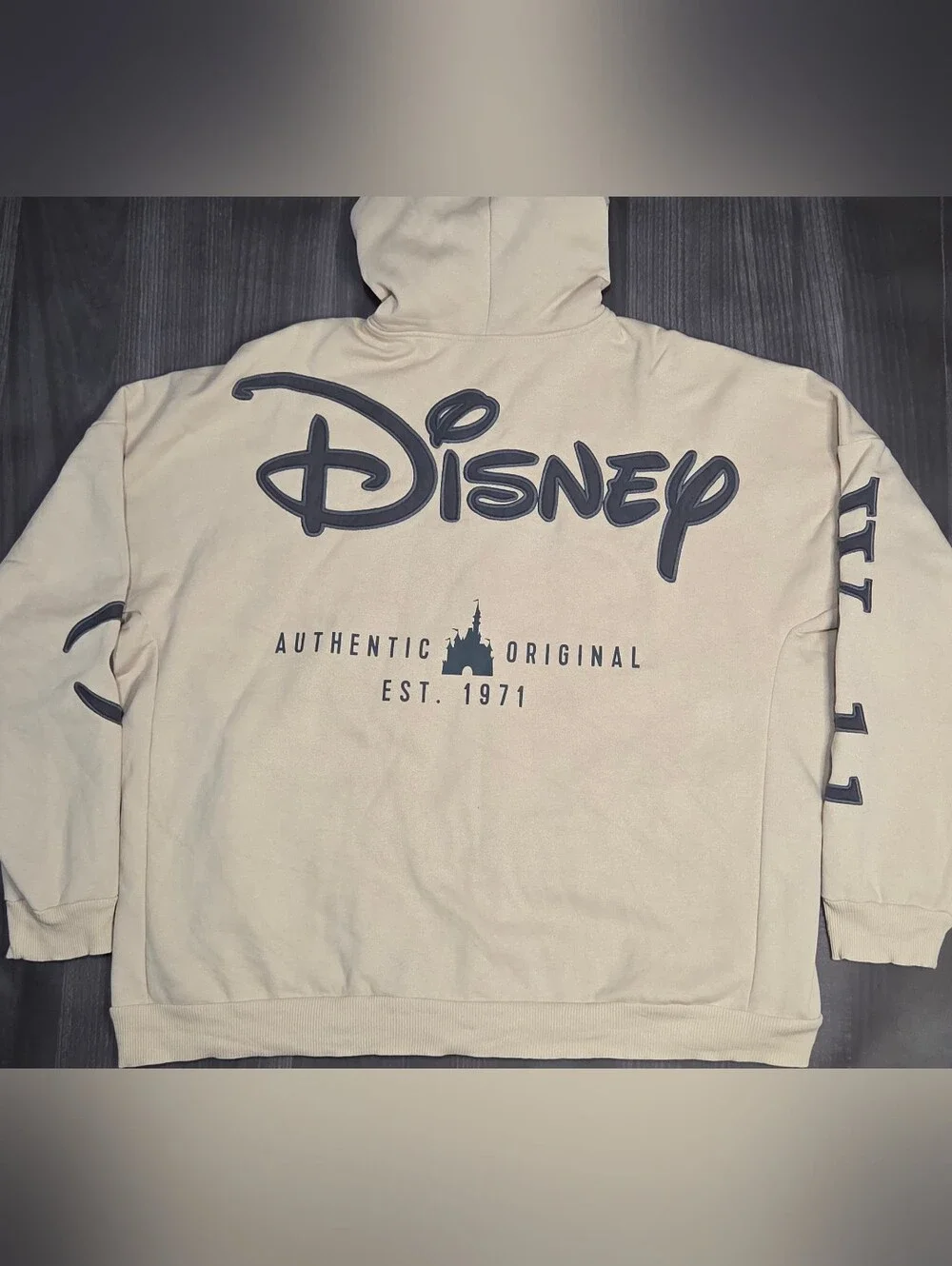 Disney disneyland resort